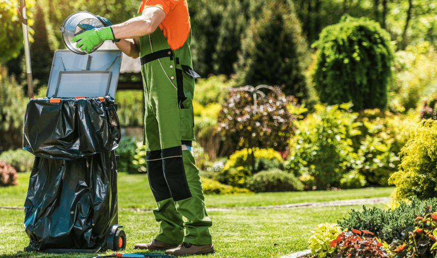 Yard Waste Removal